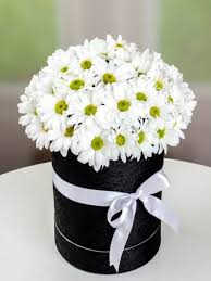 Geçmiş Olsun Çiçekleri