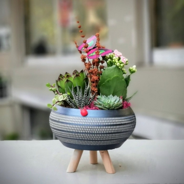 Yeni İş & Terfi Çiçekleri